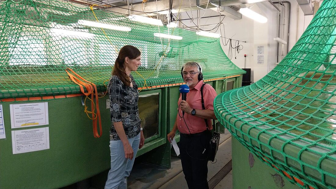 IGB Aquarienhalle - Prof. Sonja Jähnig im Gespräch mit Thomas Prinzler. Die beiden stehen an großen, grünen Behältern in denen südamerikanische Großfische (Arapaima) leben